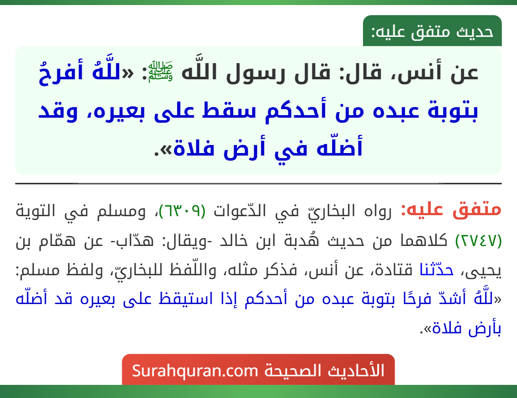 عن أنس، قال: قال رسول اللَّه ﷺ: «للَّهُ أفرحُ بتوبة عبده من أحدكم سقط على بعيره، وقد أضلّه في أرض فلاة».