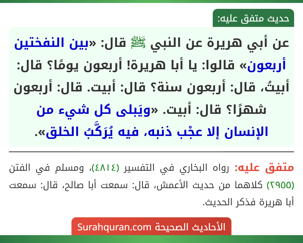 عن أبي هريرة عن النبي ﷺ قال: «بين النفختين أربعون» قالوا: يا أبا هريرة! أربعون يومًا؟ قال: أبيتُ، قال: أربعون سنة؟ قال: أبيت. قال: أربعون شهرًا؟ قال: أبيت. «ويَبلى كل شيء من الإنسان إلا عجْب ذنبه، فيه يُرَكَّبُ الخلق».