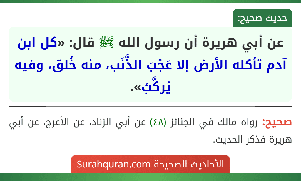 عن أبي هريرة أن رسول الله ﷺ قال: «كل ابن آدم تأكله الأرض إلا عَجْبَ الذَّنَب، منه خُلق، وفيه يُركَّبُ». عن أبي هريرة أن رسول الله ﷺ قال: «كل ابن آدم تأكله الأرض إلا عَجْبَ الذَّنَب، منه خُلق، وفيه يُركَّبُ».