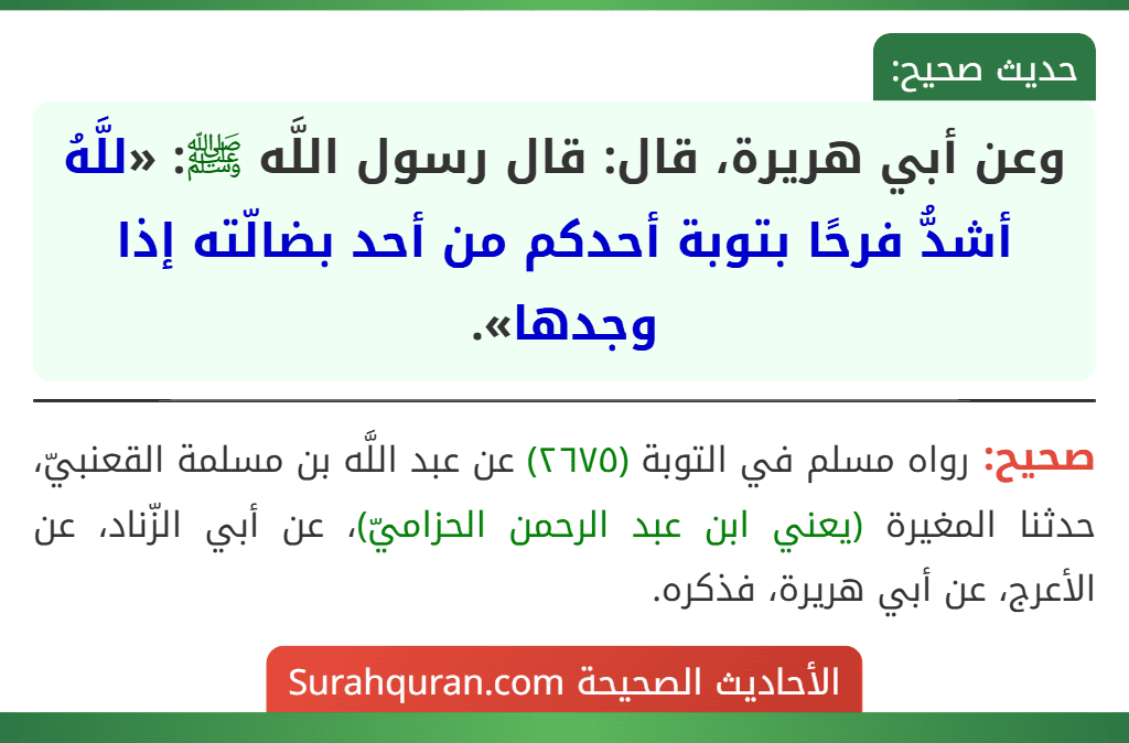 وعن أبي هريرة، قال: قال رسول اللَّه ﷺ: «للَّهُ أشدُّ فرحًا بتوبة أحدكم من أحد بضالّته إذا وجدها».