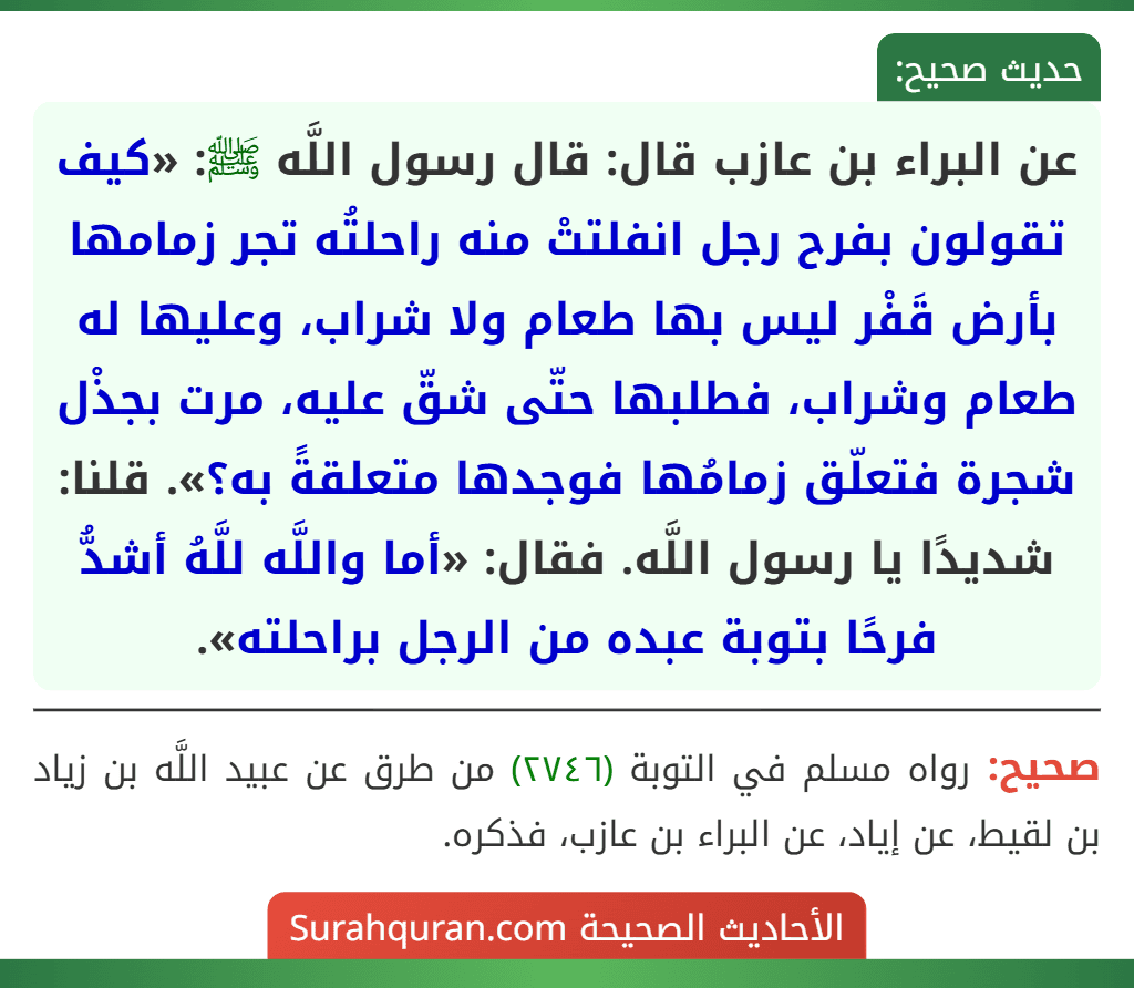 عن البراء بن عازب قال: قال رسول اللَّه ﷺ: «كيف تقولون بفرح رجل انفلتتْ منه راحلتُه تجر زمامها بأرض قَفْر ليس بها طعام ولا شراب، وعليها له طعام وشراب، فطلبها حتّى شقّ عليه، مرت بجذْل شجرة فتعلّق زمامُها فوجدها متعلقةً به؟». قلنا: شديدًا يا رسول اللَّه. فقال: «أما واللَّه للَّهُ أشدُّ فرحًا بتوبة عبده من الرجل براحلته».