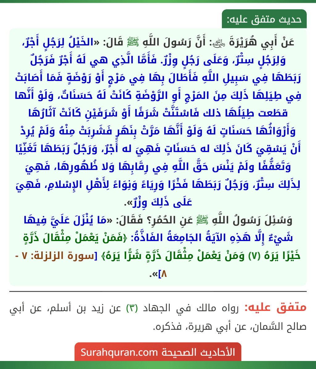 عَنْ أَبِي هُرَيْرَةَ ﵁: أَنَّ رَسُولَ اللَّهِ ﷺ قَالَ: «الخَيْلُ لِرَجُلٍ أَجْرٌ، وَلِرَجُلٍ سِتْرٌ، وَعَلَى رَجُلٍ وِزْرٌ. فَأَمَّا الَّذِي هي لَهُ أَجْرٌ فَرَجُلٌ رَبَطَهَا فِي سَبِيلِ اللَّهِ فَأَطَالَ بِهَا فِي مَرْجٍ أَوْ رَوْضَةٍ فَمَا أَصَابَتْ فِي طِيَلِهَا ذَلِكَ مِنَ المَرْجِ أَوِ الرَّوْضَةِ كَانَتْ لَهُ حَسَنَاتٌ، وَلَوْ أَنَّها قطَعت طِيَلُهَا ذلك فَاسْتَنَّتْ شَرَفًا أَوْ شَرَفَيْنِ كَانَتْ آثَارُهَا وَأَرْوَاثُهَا حَسَنَاتٍ لَهُ وَلَوْ أَنَّهَا مَرَّتْ بِنَهَرٍ فَشَرِبَتْ مِنْهُ وَلَمْ يُرِدْ أَنْ يَسْقِيَ كَانَ ذَلِكَ له حَسَنَاتٍ فَهِيَ له أَجْرٌ، وَرَجُلٌ رَبَطَهَا تَغَنِّيًا وَتَعَفُّفًا ولَمْ يَنْسَ حَقَّ اللَّهِ فِي رِقَابِهَا وَلا ظُهُورِهَا، فَهِيَ لِذَلِكَ سِتْرٌ، وَرَجُلٌ رَبَطَهَا فَخْرًا وَرِيَاءً وَنِوَاءً لِأَهْلِ الإِسْلامِ، فَهِيَ عَلَى ذَلِكَ وِزْرٌ».
وَسُئِلَ رَسُولُ اللَّهِ ﷺ عَنِ الحُمُرِ؟ فَقَالَ: «مَا يُنْزَلَ عَلَيَّ فِيهَا شَيْءٌ إِلَّا هَذِهِ الآيَةُ الجَامِعَةُ الفَاذَّةُ: ﴿فَمَنْ يَعْمَلْ مِثْقَالَ ذَرَّةٍ خَيْرًا يَرَهُ (٧) وَمَنْ يَعْمَلْ مِثْقَالَ ذَرَّةٍ شَرًّا يَرَهُ﴾ [سورة الزلزلة: ٧ - ٨]».