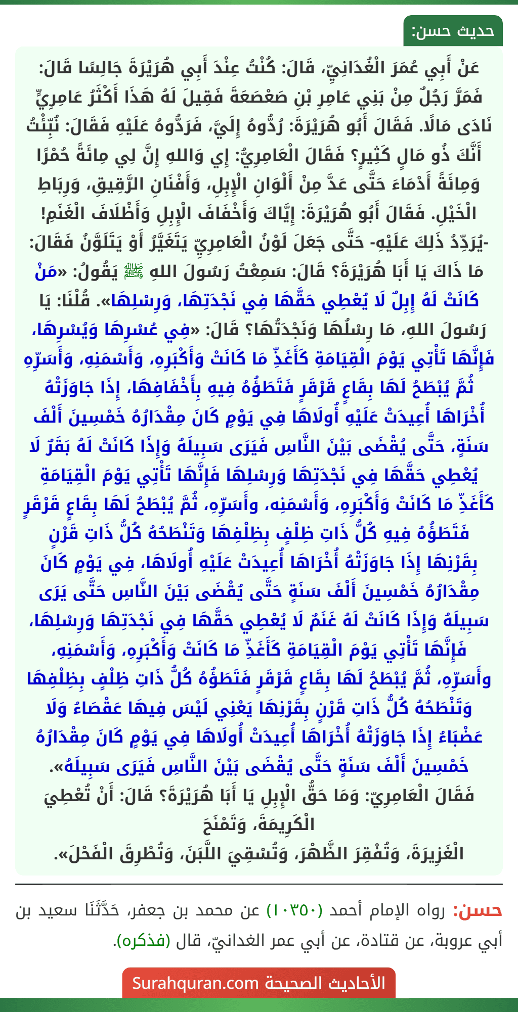 عَنْ أَبِي عُمَرَ الْغُدَانِيِّ، قَالَ: كُنْتُ عِنْدَ أَبِي هُرَيْرَةَ جَالِسًا قَالَ: فَمَرَّ رَجُلٌ مِنْ بَنِي عَامِرِ بْنِ صَعْصَعَةَ فَقِيلَ لَهُ هَذَا أَكْثَرُ عَامِرِيٍّ نَادَى مَالًا. فَقَالَ أَبُو هُرَيْرَةَ: رُدُّوهُ إِلَيَّ، فَرَدُّوهُ عَلَيْهِ فَقَالَ: نُبِّئْتُ أَنَّكَ ذُو مَالٍ كَثِيرٍ؟ فَقَالَ الْعَامِرِيُّ: إِي وَاللهِ إِنَّ لِي مِائَةً حُمْرًا وَمِائَةً أَدْمَاءَ حَتَّى عَدَّ مِنْ أَلْوَانِ الْإِبِلِ، وَأَفْنَانِ الرَّقِيقِ، وَرِبَاطِ الْخَيْلِ. فَقَالَ أَبُو هُرَيْرَةَ: إِيَّاكَ وَأَخْفَافَ الْإِبِلِ وَأَظْلَافَ الْغَنَمِ! -يُرَدِّدُ ذَلِكَ عَلَيْهِ- حَتَّى جَعَلَ لَوْنُ الْعَامِرِيِّ يَتَغَيَّرُ أَوْ يَتَلَوَّنُ فَقَالَ: مَا ذَاكَ يَا أَبَا هُرَيْرَةَ؟ قَالَ: سَمِعْتُ رَسُولَ اللهِ ﷺ يَقُولُ: «مَنْ كَانَتْ لَهُ إِبِلٌ لَا يُعْطِي حَقَّهَا فِي نَجْدَتِهَا، وَرِسْلِهَا». قُلْنَا: يَا رَسُولَ اللهِ، مَا رِسْلُهَا وَنَجْدَتُهَا؟ قَالَ: «فِي عُسْرِهَا وَيُسْرِهَا، فَإِنَّهَا تَأْتِي يَوْمَ الْقِيَامَةِ كَأَغَذِّ مَا كَانَتْ وَأَكْبَرِهِ، وَأَسْمَنِهِ، وَأَسَرِّهِ ثُمَّ يُبْطَحُ لَهَا بِقَاعٍ قَرْقَرٍ فَتَطَؤُهُ فِيهِ بِأَخْفَافِهَا، إِذَا جَاوَزَتْهُ أُخْرَاهَا أُعِيدَتْ عَلَيْهِ أُولَاهَا فِي يَوْمٍ كَانَ مِقْدَارُهُ خَمْسِينَ أَلْفَ سَنَةٍ، حَتَّى يُقْضَى بَيْنَ النَّاسِ فَيَرَى سَبِيلَهُ وَإِذَا كَانَتْ لَهُ بَقَرٌ لَا يُعْطِي حَقَّهَا فِي نَجْدَتِهَا وَرِسْلِهَا فَإِنَّهَا تَأْتِي يَوْمَ الْقِيَامَةِ كَأَغَذِّ مَا كَانَتْ وَأَكْبَرِهِ، وَأَسْمَنِه، وأَسَرِّهِ، ثُمَّ يُبْطَحُ لَهَا بِقَاعٍ قَرْقَرٍ فَتَطَؤُهُ فِيهِ كُلُّ ذَاتِ ظِلْفٍ بِظِلْفِهَا وَتَنْطَحُهُ كُلُّ ذَاتِ قَرْنٍ بِقَرْنِهَا إِذَا جَاوَزَتْهُ أُخْرَاهَا أُعِيدَتْ عَلَيْهِ أُولَاهَا، فِي يَوْمٍ كَانَ مِقْدَارُهُ خَمْسِينَ أَلْفَ سَنَةٍ حَتَّى يُقْضَى بَيْنَ النَّاسِ حَتَّى يَرَى سَبِيلَهُ وَإِذَا كَانَتْ لَهُ غَنَمٌ لَا يُعْطِي حَقَّهَا فِي نَجْدَتِهَا وَرِسْلِهَا، فَإِنَّهَا تَأْتِي يَوْمَ الْقِيَامَةِ كَأَغَذِّ مَا كَانَتْ وَأَكْبَرِهِ، وَأَسْمَنِهِ، وأَسَرِّهِ، ثُمَّ يُبْطَحُ لَهَا بِقَاعٍ قَرْقَرٍ فَتَطَؤُهُ كُلُّ ذَاتِ ظِلْفٍ بِظِلْفِهَا وَتَنْطَحُهُ كُلُّ ذَاتِ قَرْنٍ بِقَرْنِهَا يَعْنِي لَيْسَ فِيهَا عَقْصَاءُ وَلَا عَضْبَاءُ إِذَا جَاوَزَتْهُ أُخْرَاهَا أُعِيدَتْ أُولَاهَا فِي يَوْمٍ كَانَ مِقْدَارُهُ خَمْسِينَ أَلْفَ سَنَةٍ حَتَّى يُقْضَى بَيْنَ النَّاسِ فَيَرَى سَبِيلَهُ».
فَقَالَ الْعَامِرِيّ: وَمَا حَقُّ الْإِبِلِ يَا أَبَا هُرَيْرَةَ؟ قَالَ: أَنْ تُعْطِيَ الْكَرِيمَةَ، وَتَمْنَحَ
الْغَزِيرَةَ، وَتُفْقِرَ الظَّهْرَ، وَتُسْقِيَ اللَّبَنَ، وَتُطْرِقَ الْفَحْلَ». عَنْ أَبِي عُمَرَ الْغُدَانِيِّ، قَالَ: كُنْتُ عِنْدَ أَبِي هُرَيْرَةَ جَالِسًا قَالَ: فَمَرَّ رَجُلٌ مِنْ بَنِي عَامِرِ بْنِ صَعْصَعَةَ فَقِيلَ لَهُ هَذَا أَكْثَرُ عَامِرِيٍّ نَادَى مَالًا. فَقَالَ أَبُو هُرَيْرَةَ: رُدُّوهُ إِلَيَّ، فَرَدُّوهُ عَلَيْهِ فَقَالَ: نُبِّئْتُ أَنَّكَ ذُو مَالٍ كَثِيرٍ؟ فَقَالَ الْعَامِرِيُّ: إِي وَاللهِ إِنَّ لِي مِائَةً حُمْرًا وَمِائَةً أَدْمَاءَ حَتَّى عَدَّ مِنْ أَلْوَانِ الْإِبِلِ، وَأَفْنَانِ الرَّقِيقِ، وَرِبَاطِ الْخَيْلِ. فَقَالَ أَبُو هُرَيْرَةَ: إِيَّاكَ وَأَخْفَافَ الْإِبِلِ وَأَظْلَافَ الْغَنَمِ! -يُرَدِّدُ ذَلِكَ عَلَيْهِ- حَتَّى جَعَلَ لَوْنُ الْعَامِرِيِّ يَتَغَيَّرُ أَوْ يَتَلَوَّنُ فَقَالَ: مَا ذَاكَ يَا أَبَا هُرَيْرَةَ؟ قَالَ: سَمِعْتُ رَسُولَ اللهِ ﷺ يَقُولُ: «مَنْ كَانَتْ لَهُ إِبِلٌ لَا يُعْطِي حَقَّهَا فِي نَجْدَتِهَا، وَرِسْلِهَا». قُلْنَا: يَا رَسُولَ اللهِ، مَا رِسْلُهَا وَنَجْدَتُهَا؟ قَالَ: «فِي عُسْرِهَا وَيُسْرِهَا، فَإِنَّهَا تَأْتِي يَوْمَ الْقِيَامَةِ كَأَغَذِّ مَا كَانَتْ وَأَكْبَرِهِ، وَأَسْمَنِهِ، وَأَسَرِّهِ ثُمَّ يُبْطَحُ لَهَا بِقَاعٍ قَرْقَرٍ فَتَطَؤُهُ فِيهِ بِأَخْفَافِهَا، إِذَا جَاوَزَتْهُ أُخْرَاهَا أُعِيدَتْ عَلَيْهِ أُولَاهَا فِي يَوْمٍ كَانَ مِقْدَارُهُ خَمْسِينَ أَلْفَ سَنَةٍ، حَتَّى يُقْضَى بَيْنَ النَّاسِ فَيَرَى سَبِيلَهُ وَإِذَا كَانَتْ لَهُ بَقَرٌ لَا يُعْطِي حَقَّهَا فِي نَجْدَتِهَا وَرِسْلِهَا فَإِنَّهَا تَأْتِي يَوْمَ الْقِيَامَةِ كَأَغَذِّ مَا كَانَتْ وَأَكْبَرِهِ، وَأَسْمَنِه، وأَسَرِّهِ، ثُمَّ يُبْطَحُ لَهَا بِقَاعٍ قَرْقَرٍ فَتَطَؤُهُ فِيهِ كُلُّ ذَاتِ ظِلْفٍ بِظِلْفِهَا وَتَنْطَحُهُ كُلُّ ذَاتِ قَرْنٍ بِقَرْنِهَا إِذَا جَاوَزَتْهُ أُخْرَاهَا أُعِيدَتْ عَلَيْهِ أُولَاهَا، فِي يَوْمٍ كَانَ مِقْدَارُهُ خَمْسِينَ أَلْفَ سَنَةٍ حَتَّى يُقْضَى بَيْنَ النَّاسِ حَتَّى يَرَى سَبِيلَهُ وَإِذَا كَانَتْ لَهُ غَنَمٌ لَا يُعْطِي حَقَّهَا فِي نَجْدَتِهَا وَرِسْلِهَا، فَإِنَّهَا تَأْتِي يَوْمَ الْقِيَامَةِ كَأَغَذِّ مَا كَانَتْ وَأَكْبَرِهِ، وَأَسْمَنِهِ، وأَسَرِّهِ، ثُمَّ يُبْطَحُ لَهَا بِقَاعٍ قَرْقَرٍ فَتَطَؤُهُ كُلُّ ذَاتِ ظِلْفٍ بِظِلْفِهَا وَتَنْطَحُهُ كُلُّ ذَاتِ قَرْنٍ بِقَرْنِهَا يَعْنِي لَيْسَ فِيهَا عَقْصَاءُ وَلَا عَضْبَاءُ إِذَا جَاوَزَتْهُ أُخْرَاهَا أُعِيدَتْ أُولَاهَا فِي يَوْمٍ كَانَ مِقْدَارُهُ خَمْسِينَ أَلْفَ سَنَةٍ حَتَّى يُقْضَى بَيْنَ النَّاسِ فَيَرَى سَبِيلَهُ».
فَقَالَ الْعَامِرِيّ: وَمَا حَقُّ الْإِبِلِ يَا أَبَا هُرَيْرَةَ؟ قَالَ: أَنْ تُعْطِيَ الْكَرِيمَةَ، وَتَمْنَحَ
الْغَزِيرَةَ، وَتُفْقِرَ الظَّهْرَ، وَتُسْقِيَ اللَّبَنَ، وَتُطْرِقَ الْفَحْلَ».