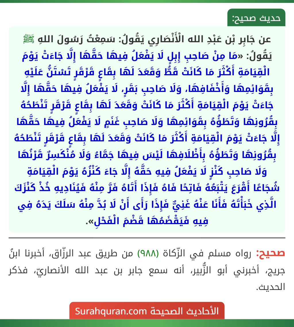 عن جَابِر بْن عَبْدِ الله الْأَنْصَارِي يَقُولُ: سَمِعْتُ رَسُولَ اللهِ ﷺ يَقُولُ: «مَا مِنْ صَاحِبِ إِبِلٍ لَا يَفْعَلُ فِيهَا حَقَّهَا إِلَّا جَاءَتْ يَوْمَ الْقِيَامَةِ أَكْثَرَ مَا كَانَتْ قَطُّ وَقَعَدَ لَهَا بِقَاعٍ قَرْقَرٍ تَسْتَنُّ عَلَيْهِ بِقَوَائِمِهَا وَأَخْفَافِهَا، وَلَا صَاحِبِ بَقَرٍ، لَا يَفْعَلُ فِيهَا حَقَّهَا إِلَّا جَاءَتْ يَوْمَ الْقِيَامَةِ أَكْثَرَ مَا كَانَتْ وَقَعَدَ لَهَا بِقَاعٍ قَرْقَرٍ تَنْطَحُهُ بِقُرُونِهَا وَتَطَؤُهُ بِقَوَائِمِهَا وَلَا صَاحِبِ غَنَمٍ لَا يَفْعَلُ فِيهَا حَقَّهَا إِلَّا جَاءَتْ يَوْمَ الْقِيَامَةِ أَكْثَرَ مَا كَانَتْ وَقَعَدَ لَهَا بِقَاعٍ قَرْقَرٍ تَنْطَحُهُ بِقُرُونِهَا وَتَطَؤُهُ بِأَظْلَافِهَا لَيْسَ فِيهَا جَمَّاءُ وَلَا مُنْكَسِرٌ قَرْنُهَا وَلَا صَاحِبِ كَنْزٍ لَا يَفْعَلُ فِيهِ حَقَّهُ إِلَّا جَاءَ كَنْزُهُ يَوْمَ الْقِيَامَةِ شُجَاعًا أَقْرَعَ يَتْبَعُهُ فَاتِحًا فَاهُ فَإِذَا أَتَاهُ فَرَّ مِنْهُ فَيُنَادِيهِ خُذْ كَنْزَكَ الَّذِي خَبَأْتَهُ فَأَنَا عَنْهُ غَنِيٌّ فَإِذَا رَأَى أَنْ لَا بُدَّ مِنْهُ سَلَكَ يَدَهُ فِي فِيهِ فَيَقْضَمُهَا قَضْمَ الْفَحْلِ». عن جَابِر بْن عَبْدِ الله الْأَنْصَارِي يَقُولُ: سَمِعْتُ رَسُولَ اللهِ ﷺ يَقُولُ: «مَا مِنْ صَاحِبِ إِبِلٍ لَا يَفْعَلُ فِيهَا حَقَّهَا إِلَّا جَاءَتْ يَوْمَ الْقِيَامَةِ أَكْثَرَ مَا كَانَتْ قَطُّ وَقَعَدَ لَهَا بِقَاعٍ قَرْقَرٍ تَسْتَنُّ عَلَيْهِ بِقَوَائِمِهَا وَأَخْفَافِهَا، وَلَا صَاحِبِ بَقَرٍ، لَا يَفْعَلُ فِيهَا حَقَّهَا إِلَّا جَاءَتْ يَوْمَ الْقِيَامَةِ أَكْثَرَ مَا كَانَتْ وَقَعَدَ لَهَا بِقَاعٍ قَرْقَرٍ تَنْطَحُهُ بِقُرُونِهَا وَتَطَؤُهُ بِقَوَائِمِهَا وَلَا صَاحِبِ غَنَمٍ لَا يَفْعَلُ فِيهَا حَقَّهَا إِلَّا جَاءَتْ يَوْمَ الْقِيَامَةِ أَكْثَرَ مَا كَانَتْ وَقَعَدَ لَهَا بِقَاعٍ قَرْقَرٍ تَنْطَحُهُ بِقُرُونِهَا وَتَطَؤُهُ بِأَظْلَافِهَا لَيْسَ فِيهَا جَمَّاءُ وَلَا مُنْكَسِرٌ قَرْنُهَا وَلَا صَاحِبِ كَنْزٍ لَا يَفْعَلُ فِيهِ حَقَّهُ إِلَّا جَاءَ كَنْزُهُ يَوْمَ الْقِيَامَةِ شُجَاعًا أَقْرَعَ يَتْبَعُهُ فَاتِحًا فَاهُ فَإِذَا أَتَاهُ فَرَّ مِنْهُ فَيُنَادِيهِ خُذْ كَنْزَكَ الَّذِي خَبَأْتَهُ فَأَنَا عَنْهُ غَنِيٌّ فَإِذَا رَأَى أَنْ لَا بُدَّ مِنْهُ سَلَكَ يَدَهُ فِي فِيهِ فَيَقْضَمُهَا قَضْمَ الْفَحْلِ».