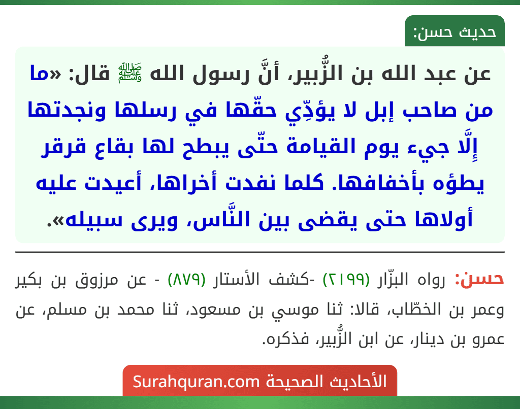 عن عبد الله بن الزُّبير، أنَّ رسول الله ﷺ قال: «ما من صاحب إبل لا يؤدِّي حقّها في رسلها ونجدتها إِلَّا جيء يوم القيامة حتّى يبطح لها بقاع قرقر يطؤه بأخفافها. كلما نفدت أخراها، أعيدت عليه أولاها حتى يقضى بين النَّاس، ويرى سبيله». عن عبد الله بن الزُّبير، أنَّ رسول الله ﷺ قال: «ما من صاحب إبل لا يؤدِّي حقّها في رسلها ونجدتها إِلَّا جيء يوم القيامة حتّى يبطح لها بقاع قرقر يطؤه بأخفافها. كلما نفدت أخراها، أعيدت عليه أولاها حتى يقضى بين النَّاس، ويرى سبيله».
