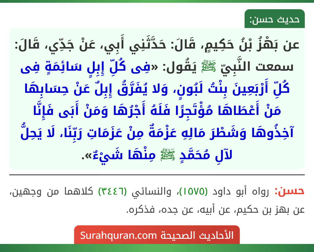 عن بَهْزُ بْنُ حَكِيمٍ، قَالَ: حَدَّثَنِي أَبِي، عَنْ جَدِّي، قَالَ: سمعت النَّبِيّ ﷺ يَقُول: «فِى كُلِّ إِبِلٍ سَائِمَةٍ فِى كُلِّ أَرْبَعِينَ بِنْتُ لَبُونٍ، وَلا يُفَرَّقُ إِبِلٌ عَنْ حِسَابِهَا مَنْ أَعْطَاهَا مُؤْتَجِرًا فَلَهُ أَجْرُهَا وَمَنْ أَبَى فَإِنَّا آخِذُوهَا وَشَطْرَ مَالِهِ عَزْمَةٌ مِنْ عَزَمَاتِ رَبِّنَا، لَا يَحِلُّ لآلِ مُحَمَّدٍ ﷺ مِنْهَا شَيْءٌ».