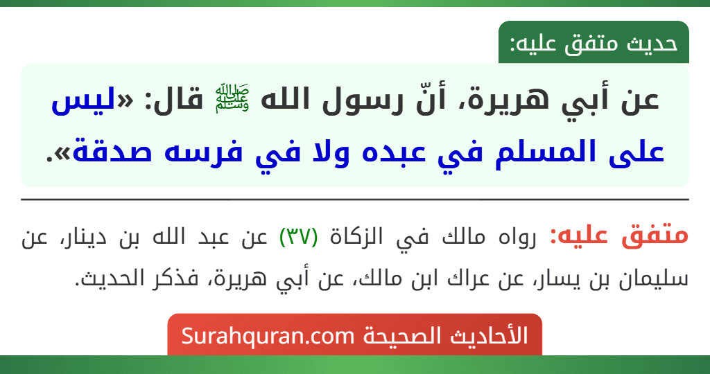 عن أبي هريرة، أنّ رسول الله ﷺ قال: «ليس على المسلم في عبده ولا في فرسه صدقة». عن أبي هريرة، أنّ رسول الله ﷺ قال: «ليس على المسلم في عبده ولا في فرسه صدقة».