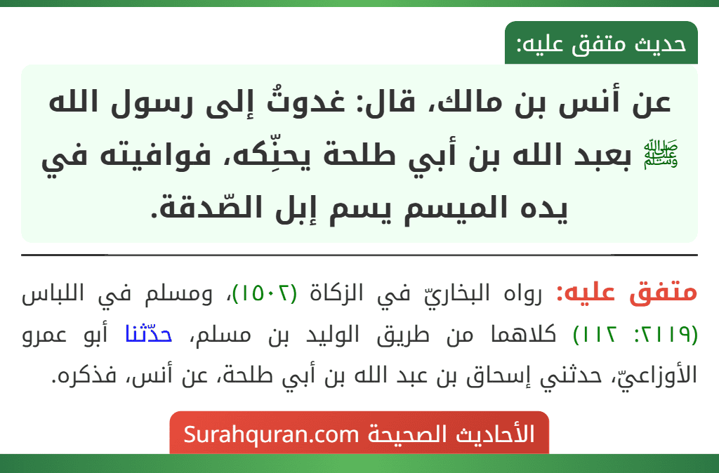 عن أنس بن مالك، قال: غدوتُ إلى رسول الله ﷺ بعبد الله بن أبي طلحة يحنِّكه، فوافيته في يده الميسم يسم إبل الصّدقة. عن أنس بن مالك، قال: غدوتُ إلى رسول الله ﷺ بعبد الله بن أبي طلحة يحنِّكه، فوافيته في يده الميسم يسم إبل الصّدقة.
