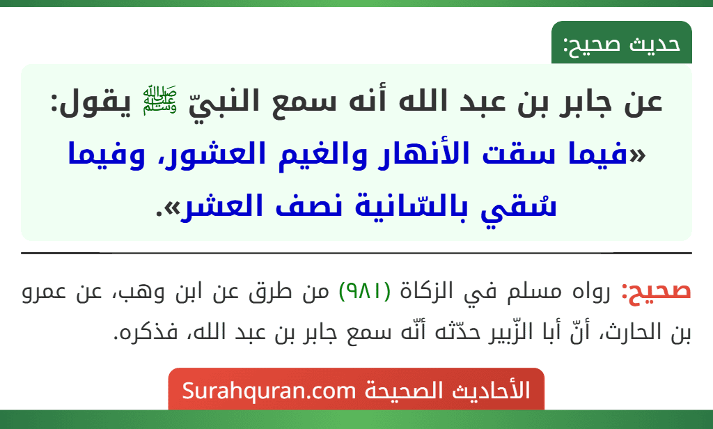 عن جابر بن عبد الله أنه سمع النبيّ ﷺ يقول: «فيما سقت الأنهار والغيم العشور، وفيما سُقي بالسّانية نصف العشر».