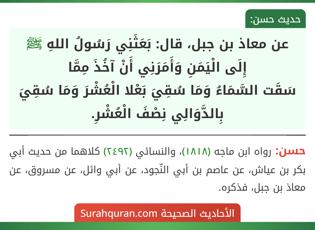 عن معاذ بن جبل، قال: بَعَثَنِي رَسُولُ اللهِ ﷺ إِلَى الْيَمَنِ وَأَمَرَنِي أَنْ آخُذَ مِمَّا
سَقَت السَّمَاءُ وَمَا سُقِيَ بَعْلا الْعُشْرَ وَمَا سُقِيَ بِالدَّوَالِي نِصْفَ الْعُشْرِ.