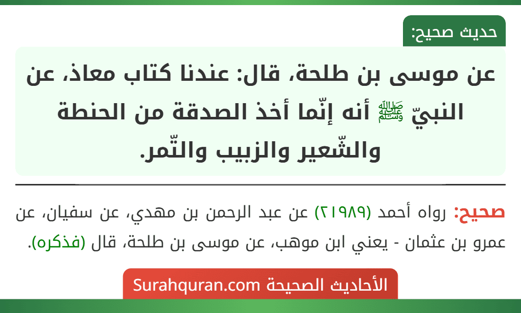 عن موسى بن طلحة، قال: عندنا كتاب معاذ، عن النبيّ ﷺ أنه إنّما أخذ الصدقة من الحنطة والشّعير والزبيب والتّمر.