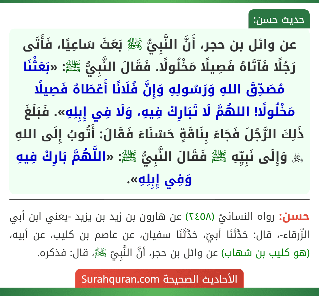 عن وائل بن حجر، أَنَّ النَّبِيُّ ﷺ بَعَثَ سَاعِيًا، فَأَتَى رَجُلًا فَآتَاهُ فَصِيلًا مَخْلُولًا. فَقَالَ النَّبِيُّ ﷺ: «بَعَثْنَا مُصَدِّقَ اللهِ وَرَسُولِهِ وَإِنَّ فُلَانًا أَعْطَاهُ فَصِيلًا مَخْلُولًا! اللهُمَّ لَا تَبَارِكْ فِيهِ، وَلَا فِي إِبِلِهِ». فَبَلَغَ ذَلِكَ الرَّجُلَ فَجَاءَ بِنَاقَةٍ حَسْنَاءَ فَقَالَ: أَتُوبُ إِلَى اللهِ ﷿ وَإِلَى نَبِيِّهِ ﷺ فَقَالَ النَّبِيُّ ﷺ: «اللَّهُمَّ بَارِكْ فِيهِ وَفِي إِبِلِهِ».