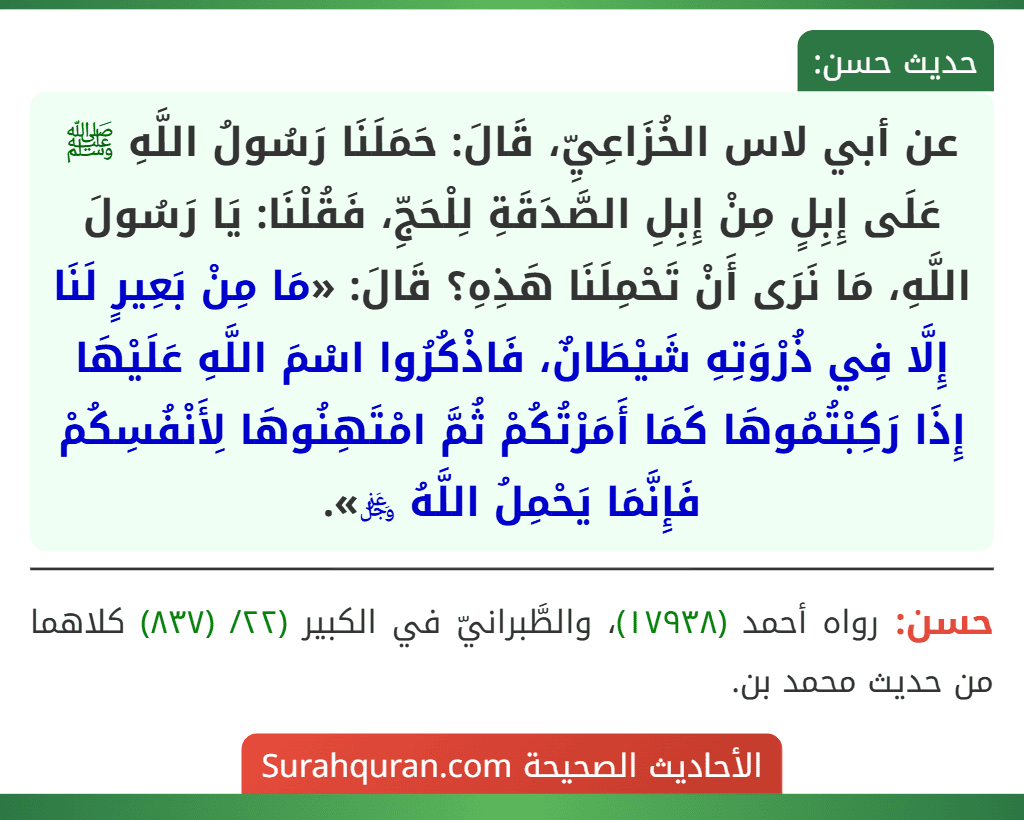 عن أبي لاس الخُزَاعِيِّ، قَالَ: حَمَلَنَا رَسُولُ اللَّهِ ﷺ عَلَى إِبِلٍ مِنْ إِبِلِ الصَّدَقَةِ لِلْحَجِّ، فَقُلْنَا: يَا رَسُولَ اللَّهِ، مَا نَرَى أَنْ تَحْمِلَنَا هَذِهِ؟ قَالَ: «مَا مِنْ بَعِيرٍ لَنَا إِلَّا فِي ذُرْوَتِهِ شَيْطَانٌ، فَاذْكُرُوا اسْمَ اللَّهِ عَلَيْهَا إِذَا رَكِبْتُمُوهَا كَمَا أَمَرْتُكُمْ ثُمَّ امْتَهِنُوهَا لِأَنْفُسِكُمْ فَإِنَّمَا يَحْمِلُ اللَّهُ ﷿».
