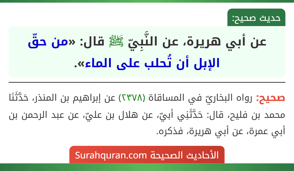 عن أبي هريرة، عن النَّبِيّ ﷺ قال: «من حقّ الإبل أن تُحلب على الماء».