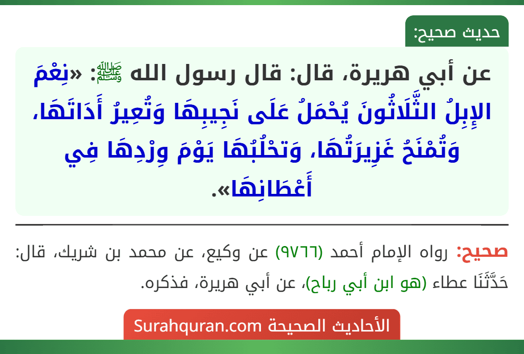 عن أبي هريرة، قال: قال رسول الله ﷺ: «نِعْمَ الإِبِلُ الثَّلَاثُونَ يُحْمَلُ عَلَى نَجِيبِهَا وَتُعِيرُ أَدَاتَهَا، وَتُمْنَحُ غَزِيرَتُهَا، وَتحْلُبُهَا يَوْمَ وِرْدِهَا فِي أَعْطَانِهَا».