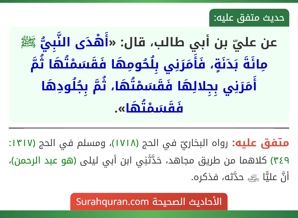 عن عليّ بن أبي طالب، قال: «أَهْدَى النَّبِيُّ ﷺ مِائَةَ بَدَنَةٍ، فَأَمَرَنِي بِلُحُومِهَا فَقَسَمْتُهَا ثُمَّ أَمَرَنِي بِجِلالِهَا فَقَسَمْتُهَا، ثُمَّ بِجُلُودِهَا فَقَسَمْتُهَا».