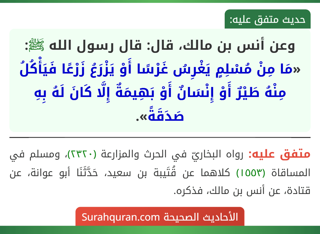 وعن أنس بن مالك، قال: قال رسول الله ﷺ: «مَا مِنْ مُسْلِمٍ يَغْرِسُ غَرْسًا أَوْ يَزْرَعُ زَرْعًا فَيَأْكُلُ مِنْهُ طَيْرٌ أَوْ إِنْسَانٌ أَوْ بَهِيمَةٌ إِلَّا كَانَ لَهُ بِهِ صَدَقَةً».