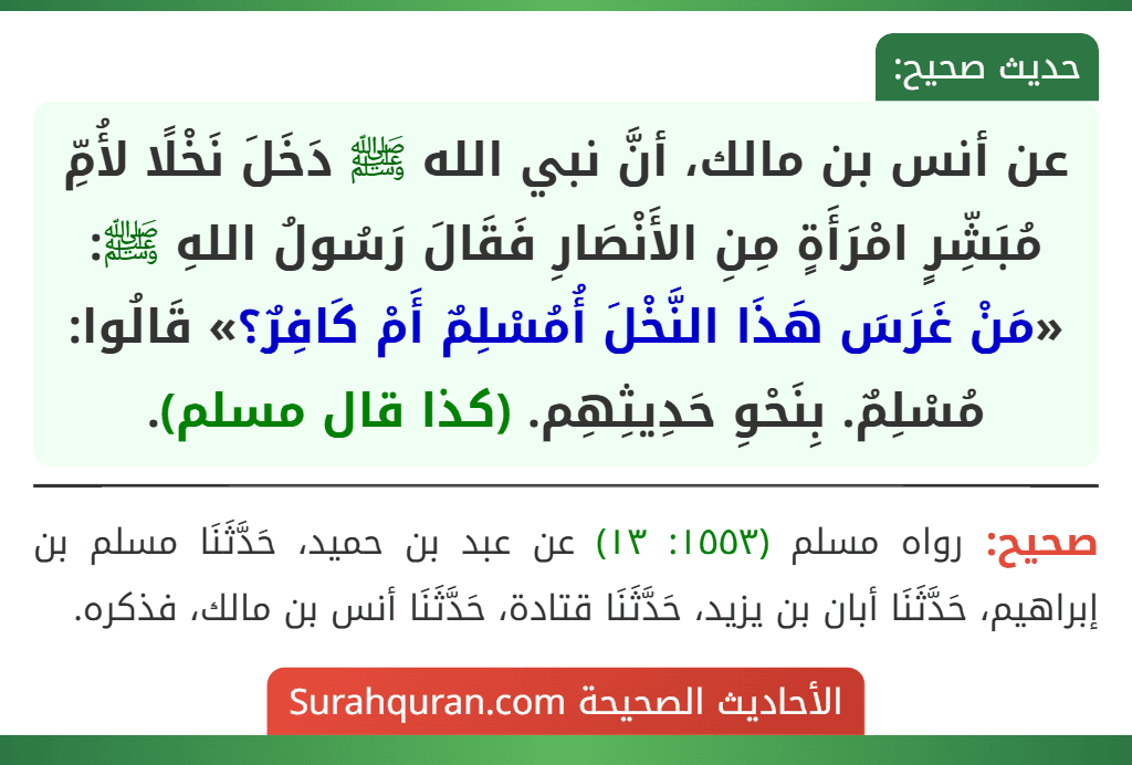 عن أنس بن مالك، أنَّ نبي الله ﷺ دَخَلَ نَخْلًا لأُمِّ مُبَشِّرٍ امْرَأَةٍ مِنِ الأَنْصَارِ فَقَالَ رَسُولُ اللهِ ﷺ: «مَنْ غَرَسَ هَذَا النَّخْلَ أُمُسْلِمٌ أَمْ كَافِرٌ؟» قَالُوا: مُسْلِمٌ. بِنَحْوِ حَدِيثِهِم. (كذا قال مسلم).