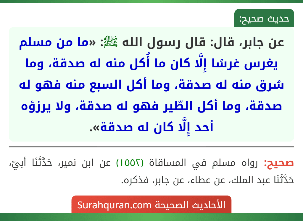 عن جابر، قال: قال رسول الله ﷺ: «ما من مسلم يغرس غرسًا إِلَّا كان ما أُكل منه له صدقة، وما سُرق منه له صدقة، وما أكل السبع منه فهو له صدقة، وما أكل الطّير فهو له صدقة، ولا يرزؤه أحد إِلَّا كان له صدقة».