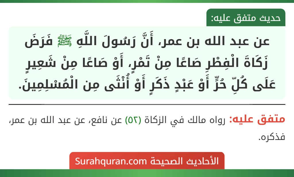 عن عبد الله بن عمر، أَنَّ رَسُولَ اللَّهِ ﷺ فَرَضَ زَكَاةَ الْفِطْرِ صَاعًا مِنْ تَمْرٍ، أَوْ صَاعًا مِنْ شَعِيرٍ عَلَى كُلِّ حُرٍّ أَوْ عَبْدٍ ذَكَرٍ أَوْ أُنْثَى مِن الْمُسْلِمِينَ.