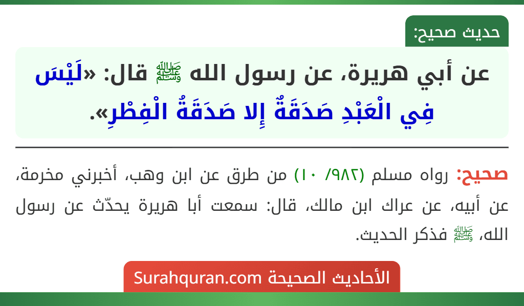 عن أبي هريرة، عن رسول الله ﷺ قال: «لَيْسَ فِي الْعَبْدِ صَدَقَةٌ إِلا صَدَقَةُ الْفِطْرِ».