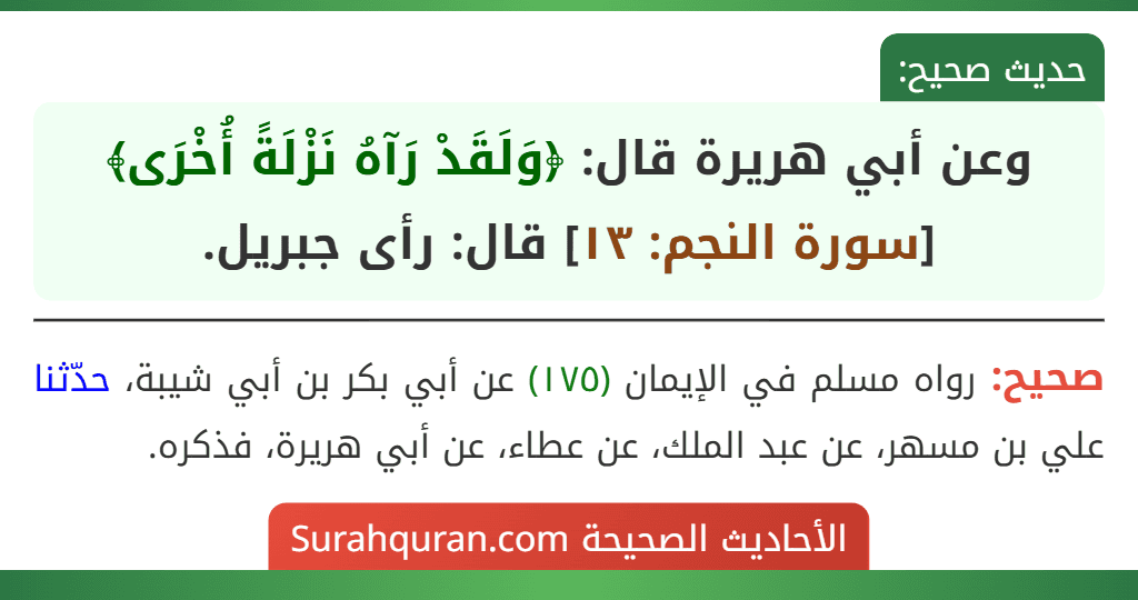 وعن أبي هريرة قال: ﴿وَلَقَدْ رَآهُ نَزْلَةً أُخْرَى﴾ [سورة النجم: ١٣] قال: رأى جبريل.