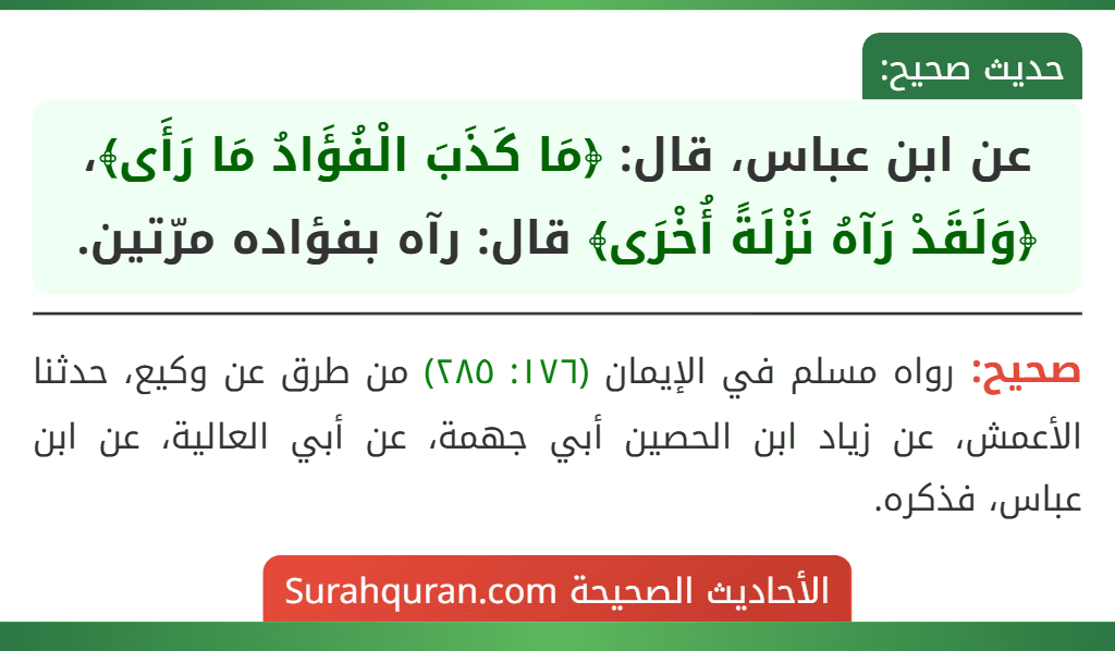 عن ابن عباس، قال: ﴿مَا كَذَبَ الْفُؤَادُ مَا رَأَى﴾، ﴿وَلَقَدْ رَآهُ نَزْلَةً أُخْرَى﴾ قال: رآه بفؤاده مرّتين.