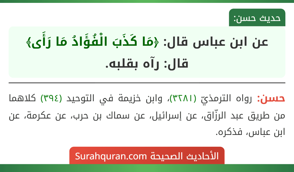 عن ابن عباس قال: ﴿مَا كَذَبَ الْفُؤَادُ مَا رَأَى﴾ قال: رآه بقلبه.