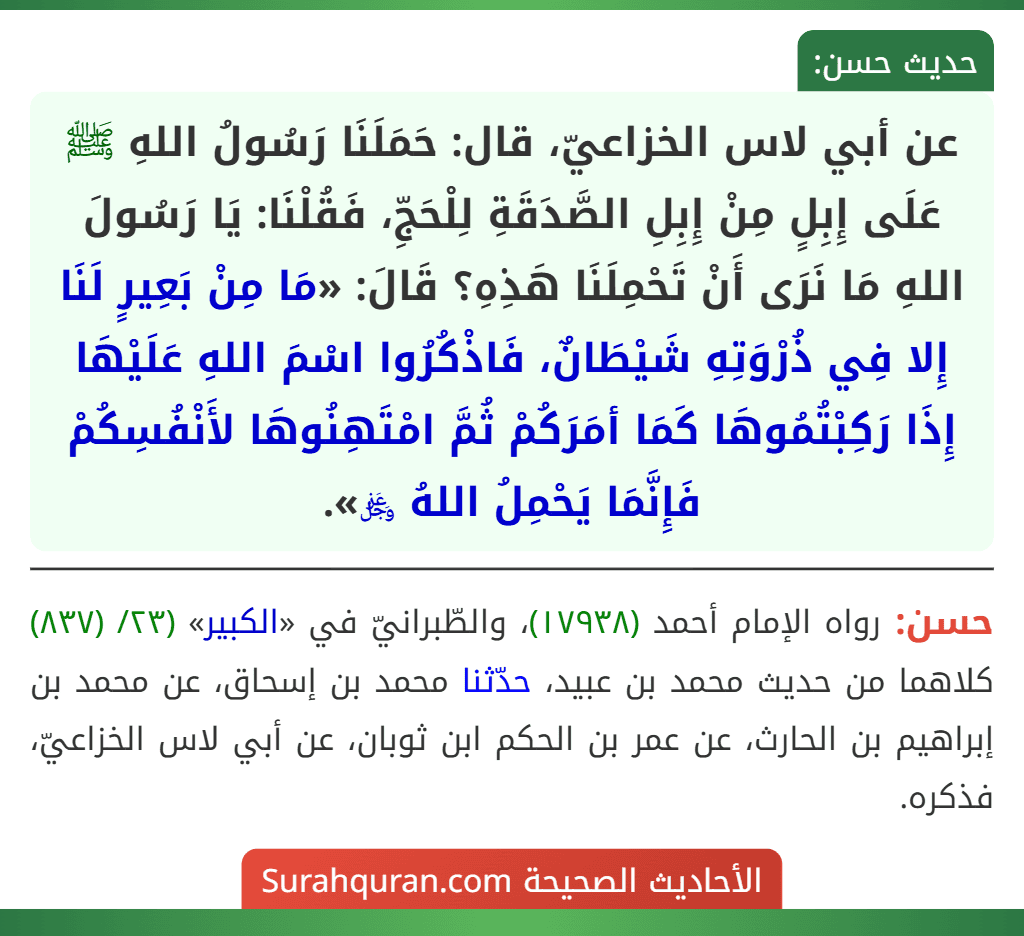 عن أبي لاس الخزاعيّ، قال: حَمَلَنَا رَسُولُ اللهِ ﷺ عَلَى إِبِلٍ مِنْ إِبِلِ الصَّدَقَةِ لِلْحَجِّ، فَقُلْنَا: يَا رَسُولَ اللهِ مَا نَرَى أَنْ تَحْمِلَنَا هَذِهِ؟ قَالَ: «مَا مِنْ بَعِيرٍ لَنَا إِلا فِي ذُرْوَتِهِ شَيْطَانٌ، فَاذْكُرُوا اسْمَ اللهِ عَلَيْهَا إِذَا رَكِبْتُمُوهَا كَمَا أمَرَكُمْ ثُمَّ امْتَهِنُوهَا لأَنْفُسِكُمْ فَإِنَّمَا يَحْمِلُ اللهُ ﷿».