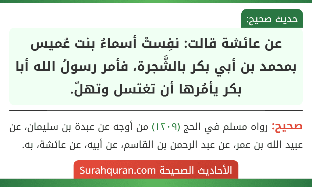 عن عائشة قالت: نفِستْ أسماءُ بنت عُميس بمحمد بن أبي بكر بالشَّجرة، فأمر رسولُ الله أبا بكر يأمُرها أن تغتسل وتهلّ. عن عائشة قالت: نفِستْ أسماءُ بنت عُميس بمحمد بن أبي بكر بالشَّجرة، فأمر رسولُ الله أبا بكر يأمُرها أن تغتسل وتهلّ.