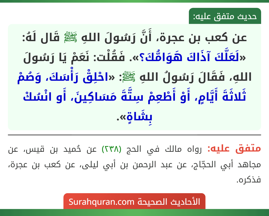 عن كعب بن عجرة، أَنَّ رَسُولَ اللهِ ﷺ قَال لَهُ: «لَعَلَّكَ آذَاكَ هَوَامُّكَ؟». فَقُلْت: نَعَمْ يَا رَسُولَ اللهِ، فَقَالَ رَسُولُ اللهِ ﷺ: «احْلِقْ رَأْسَكَ، وَصُمْ ثَلاثَةَ أَيَّامٍ، أَوْ أَطْعِمْ سِتَّةَ مَسَاكِينَ، أَو انْسُكْ بِشَاةٍ».
