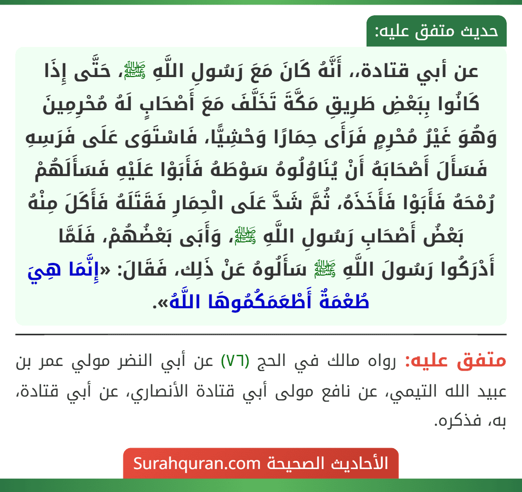 عن أبي قتادة،، أَنَّهُ كَانَ مَعَ رَسُولِ اللَّهِ ﷺ، حَتَّى إِذَا كَانُوا بِبَعْضِ طَرِيقِ مَكَّةَ تَخَلَّفَ مَعَ أَصْحَابٍ لَهُ مُحْرِمِينَ وَهُوَ غَيْرُ مُحْرِمٍ فَرَأَى حِمَارًا وَحْشِيًّا، فَاسْتَوَى عَلَى فَرَسِهِ فَسَأَلَ أَصْحَابَهُ أَنْ يُنَاوُلُوهُ سَوْطَهُ فَأَبَوْا عَلَيْهِ فَسَأَلَهُمْ رُمْحَهُ فَأَبَوْا فَأَخَذَهُ، ثُمَّ شَدَّ عَلَى الْحِمَارِ فَقَتَلَهُ فَأَكَلَ مِنْهُ بَعْضُ أَصْحَابِ رَسُولِ اللَّهِ ﷺ، وَأَبَى بَعْضُهُمْ، فَلَمَّا
أَدْرَكُوا رَسُولَ اللَّهِ ﷺ سَأَلُوهُ عَنْ ذَلِك، فَقَالَ: «إِنَّمَا هِيَ طُعْمَةٌ أَطْعَمَكُمُوهَا اللَّهُ».