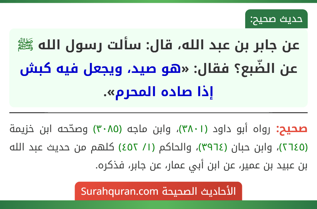 عن جابر بن عبد الله، قال: سألت رسول الله ﷺ عن الضّبع؟ فقال: «هو صيد، ويجعل فيه كبش إذا صاده المحرم».