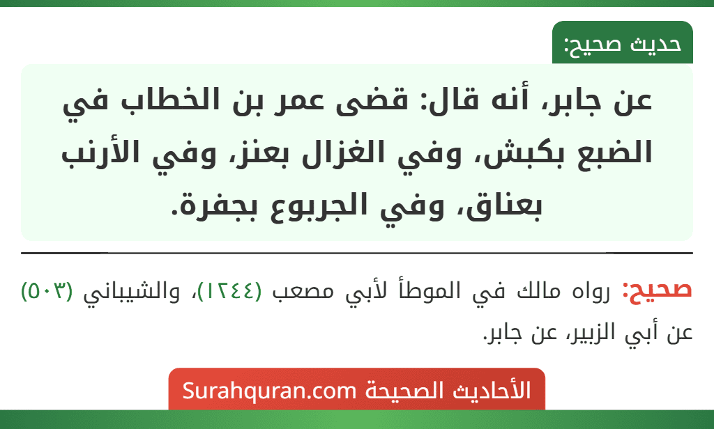 عن جابر، أنه قال: قضى عمر بن الخطاب في الضبع بكبش، وفي الغزال بعنز، وفي الأرنب بعناق، وفي الجربوع بجفرة.