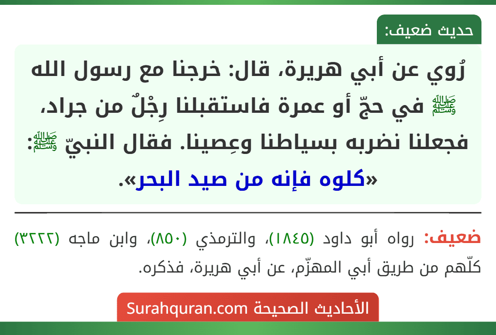 رُوي عن أبي هريرة، قال: خرجنا مع رسول الله ﷺ في حجّ أو عمرة فاستقبلنا رِجْلٌ من جراد، فجعلنا نضربه بسياطنا وعِصينا. فقال النبيّ ﷺ: «كلوه فإنه من صيد البحر».