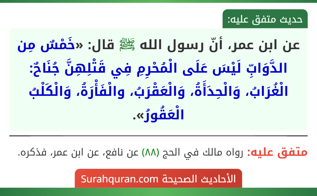 عن ابن عمر، أنّ رسول الله ﷺ قال: «خَمْسٌ مِن الدَّوَابِّ لَيْسَ عَلَى الْمُحْرِمِ فِي قَتْلِهِنَّ جُنَاحٌ: الْغُرَابُ، وَالْحِدَأَةُ، وَالْعَقْرَبُ، والْفَأْرَةُ، وَالْكَلْبُ الْعَقُورُ».