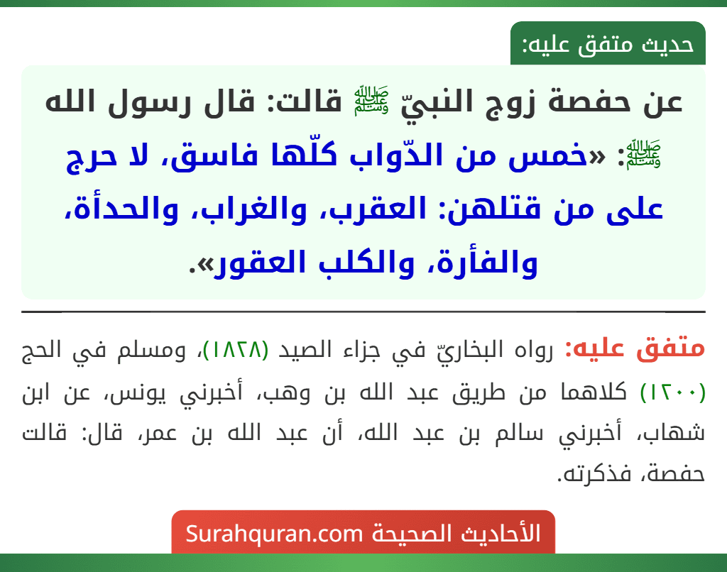 عن حفصة زوج النبيّ ﷺ قالت: قال رسول الله ﷺ: «خمس من الدّواب كلّها فاسق، لا حرج على من قتلهن: العقرب، والغراب، والحدأة، والفأرة، والكلب العقور».