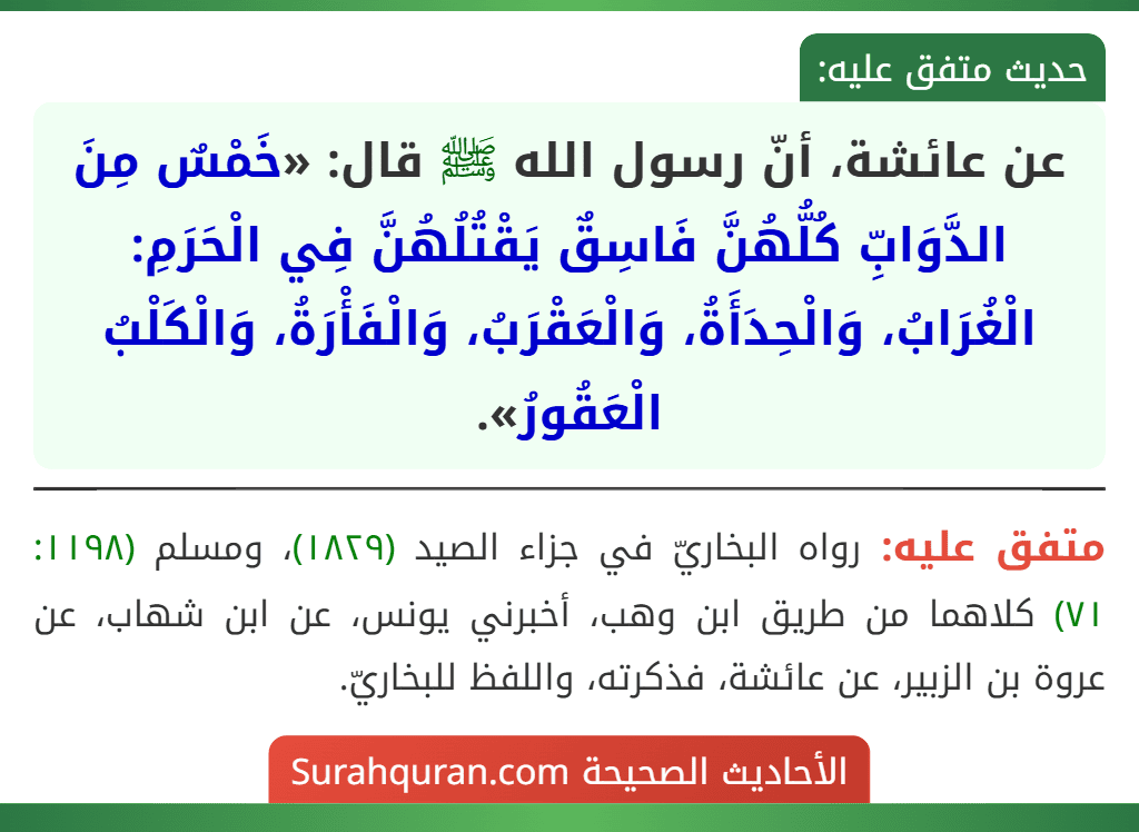 عن عائشة، أنّ رسول الله ﷺ قال: «خَمْسٌ مِنَ الدَّوَابِّ كُلُّهُنَّ فَاسِقٌ يَقْتُلُهُنَّ فِي الْحَرَمِ: الْغُرَابُ، وَالْحِدَأَةُ، وَالْعَقْرَبُ، وَالْفَأْرَةُ، وَالْكَلْبُ الْعَقُورُ». عن عائشة، أنّ رسول الله ﷺ قال: «خَمْسٌ مِنَ الدَّوَابِّ كُلُّهُنَّ فَاسِقٌ يَقْتُلُهُنَّ فِي الْحَرَمِ: الْغُرَابُ، وَالْحِدَأَةُ، وَالْعَقْرَبُ، وَالْفَأْرَةُ، وَالْكَلْبُ الْعَقُورُ».