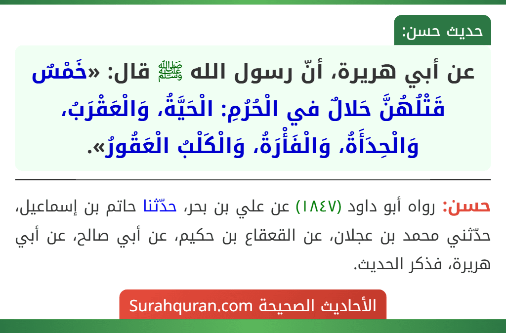 عن أبي هريرة، أنّ رسول الله ﷺ قال: «خَمْسٌ قَتْلُهُنَّ حَلالٌ في الْحُرُمِ: الْحَيَّةُ، وَالْعَقْرَبُ، وَالْحِدَأَةُ، وَالْفَأْرَةُ، وَالْكَلْبُ الْعَقُورُ».
