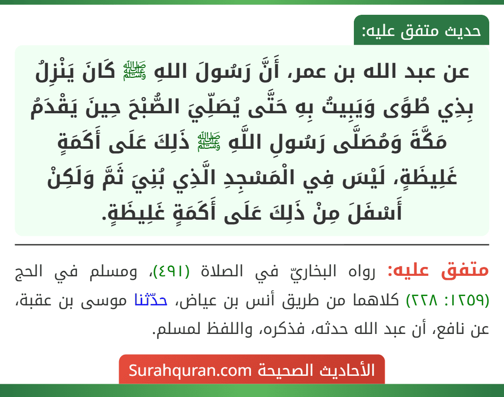 عن عبد الله بن عمر، أَنَّ رَسُولَ اللهِ ﷺ كَانَ يَنْزِلُ بِذِي طُوًى وَيَبِيتُ بِهِ حَتَّى يُصَلِّيَ الصُّبْحَ حِينَ يَقْدَمُ مَكَّةَ وَمُصَلَّى رَسُولِ اللَّهِ ﷺ ذَلِكَ عَلَى أَكَمَةٍ غَلِيظَةٍ، لَيْسَ فِي الْمَسْجِدِ الَّذِي بُنِيَ ثَمَّ وَلَكِنْ أَسْفَلَ مِنْ ذَلِكَ عَلَى أَكَمَةٍ غَلِيظَةٍ. عن عبد الله بن عمر، أَنَّ رَسُولَ اللهِ ﷺ كَانَ يَنْزِلُ بِذِي طُوًى وَيَبِيتُ بِهِ حَتَّى يُصَلِّيَ الصُّبْحَ حِينَ يَقْدَمُ مَكَّةَ وَمُصَلَّى رَسُولِ اللَّهِ ﷺ ذَلِكَ عَلَى أَكَمَةٍ غَلِيظَةٍ، لَيْسَ فِي الْمَسْجِدِ الَّذِي بُنِيَ ثَمَّ وَلَكِنْ أَسْفَلَ مِنْ ذَلِكَ عَلَى أَكَمَةٍ غَلِيظَةٍ.