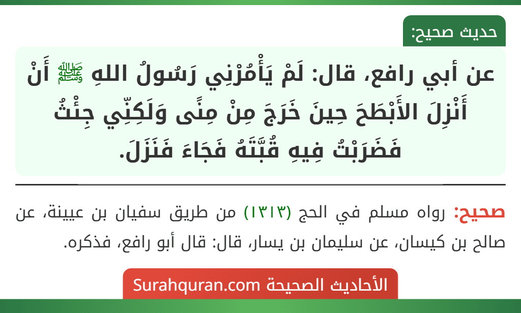عن أبي رافع، قال: لَمْ يَأْمُرْنِي رَسُولُ اللهِ ﷺ أَنْ أَنْزِلَ الأَبْطَحَ حِينَ خَرَجَ مِنْ مِنًى وَلَكِنِّي جِئْثُ فَضَرَبْتُ فِيهِ قُبَّتَهُ فَجَاءَ فَنَزَلَ.