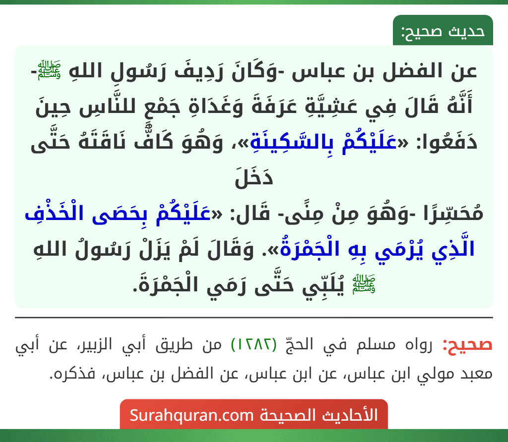عن الفضل بن عباس -وَكَانَ رَدِيفَ رَسُولِ اللهِ ﷺ- أَنَّهُ قَالَ فِي عَشِيَّةِ عَرَفَةَ وَغَدَاةِ جَمْعٍ للنَّاسِ حِينَ دَفَعُوا: «عَلَيْكُمْ بِالسَّكِينَةِ»، وَهُوَ كَافٌّ نَاقَتَهُ حَتَّى دَخَلَ
مُحَسِّرًا -وَهُوَ مِنْ مِنًى- قَال: «عَلَيْكُمْ بِحَصَى الْخَذْفِ الَّذِي يُرْمَي بِهِ الْجَمْرَةُ». وَقَالَ لَمْ يَزَلْ رَسُولُ اللهِ ﷺ يُلَبِّي حَتَّى رَمَي الْجَمْرَةَ.