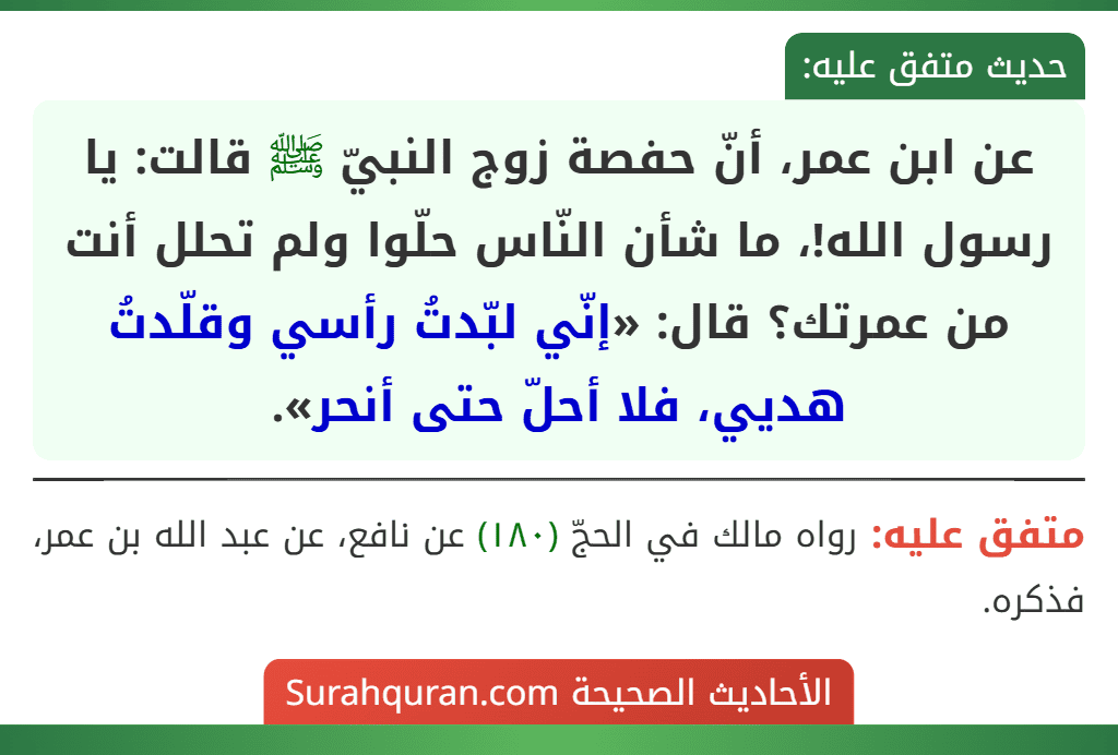 عن ابن عمر، أنّ حفصة زوج النبيّ ﷺ قالت: يا رسول الله!، ما شأن النّاس حلّوا ولم تحلل أنت من عمرتك؟ قال: «إنّي لبّدتُ رأسي وقلّدتُ هديي، فلا أحلّ حتى أنحر».
