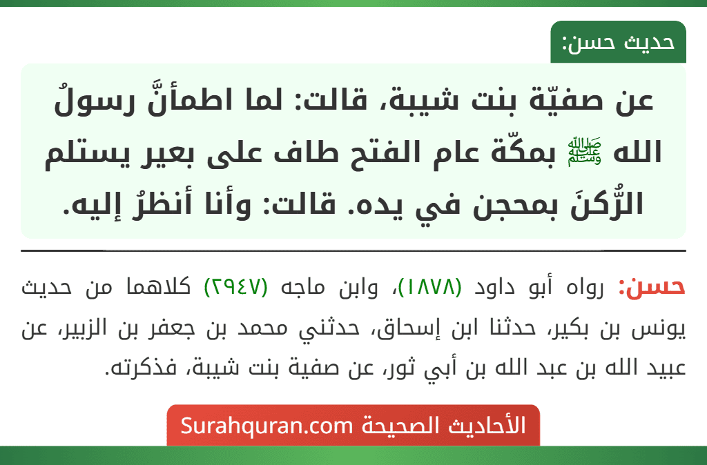 عن صفيّة بنت شيبة، قالت: لما اطمأنَّ رسولُ الله ﷺ بمكّة عام الفتح طاف على بعير يستلم الرُّكنَ بمحجن في يده. قالت: وأنا أنظرُ إليه. عن صفيّة بنت شيبة، قالت: لما اطمأنَّ رسولُ الله ﷺ بمكّة عام الفتح طاف على بعير يستلم الرُّكنَ بمحجن في يده. قالت: وأنا أنظرُ إليه.
