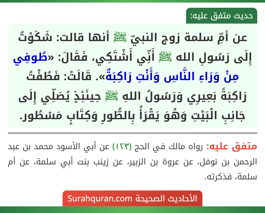 عن أمِّ سلمة زوج النبيّ ﷺ أنها قالت: شَكَوْتُ إِلَى رَسُولِ الله ﷺ أَنِّي أَشْتَكِي، فَقَالَ: «طُوفِي مِنْ وَرَاءِ النَّاسِ وَأَنْتِ رَاكِبَةٌ». قَالَتْ: فَطُفْتُ رَاكِبَةً بَعِيرِي وَرَسُولُ اللهِ ﷺ حِينَئِذٍ يُصَلِّي إِلَى جَانِبِ الْبَيْتِ وَهُوَ يَقْرَأُ بِالطُّورِ وَكِتَابٍ مَسْطُور. عن أمِّ سلمة زوج النبيّ ﷺ أنها قالت: شَكَوْتُ إِلَى رَسُولِ الله ﷺ أَنِّي أَشْتَكِي، فَقَالَ: «طُوفِي مِنْ وَرَاءِ النَّاسِ وَأَنْتِ رَاكِبَةٌ». قَالَتْ: فَطُفْتُ رَاكِبَةً بَعِيرِي وَرَسُولُ اللهِ ﷺ حِينَئِذٍ يُصَلِّي إِلَى جَانِبِ الْبَيْتِ وَهُوَ يَقْرَأُ بِالطُّورِ وَكِتَابٍ مَسْطُور.