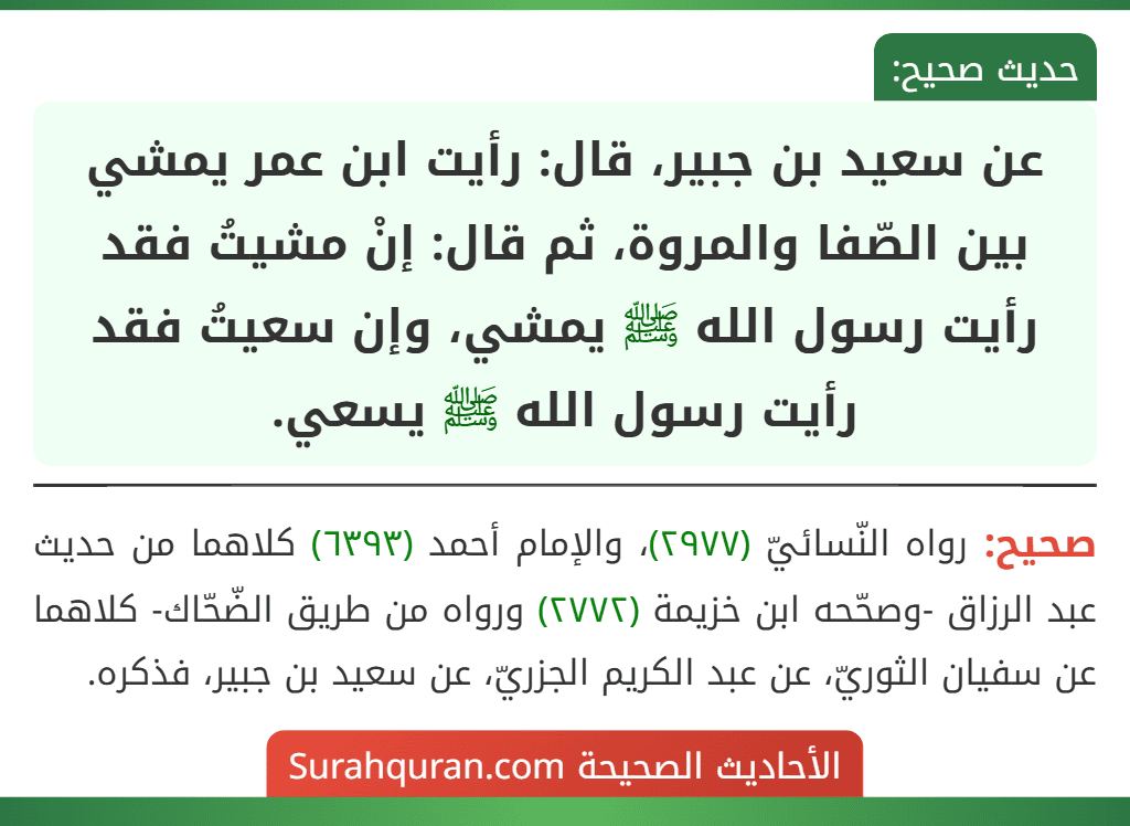 عن سعيد بن جبير، قال: رأيت ابن عمر يمشي بين الصّفا والمروة، ثم قال: إنْ مشيتُ فقد رأيت رسول الله ﷺ يمشي، وإن سعيتُ فقد رأيت رسول الله ﷺ يسعي.