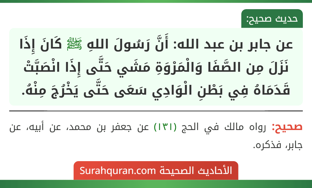 عن جابر بن عبد الله: أَنَّ رَسُولَ اللهِ ﷺ كَانَ إِذَا نَزَلَ مِن الصَّفَا وَالْمَرْوَةِ مَشَي حَتَّى إِذَا انْصَبَّتْ قَدَمَاهُ فِي بَطْنِ الْوَادِي سَعَى حَتَّى يَخْرُجَ مِنْهُ.