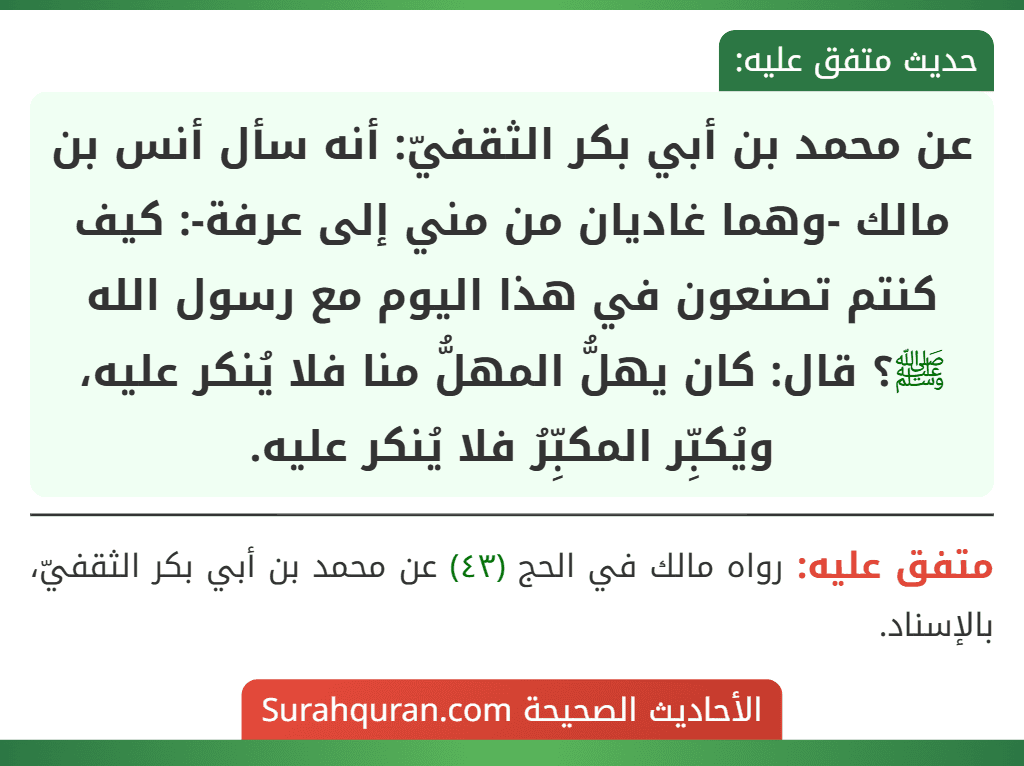 عن محمد بن أبي بكر الثقفيّ: أنه سأل أنس بن مالك -وهما غاديان من مني إلى عرفة-: كيف كنتم تصنعون في هذا اليوم مع رسول الله ﷺ؟ قال: كان يهلُّ المهلُّ منا فلا يُنكر عليه، ويُكبِّر المكبِّرُ فلا يُنكر عليه. عن محمد بن أبي بكر الثقفيّ: أنه سأل أنس بن مالك -وهما غاديان من مني إلى عرفة-: كيف كنتم تصنعون في هذا اليوم مع رسول الله ﷺ؟ قال: كان يهلُّ المهلُّ منا فلا يُنكر عليه، ويُكبِّر المكبِّرُ فلا يُنكر عليه.
