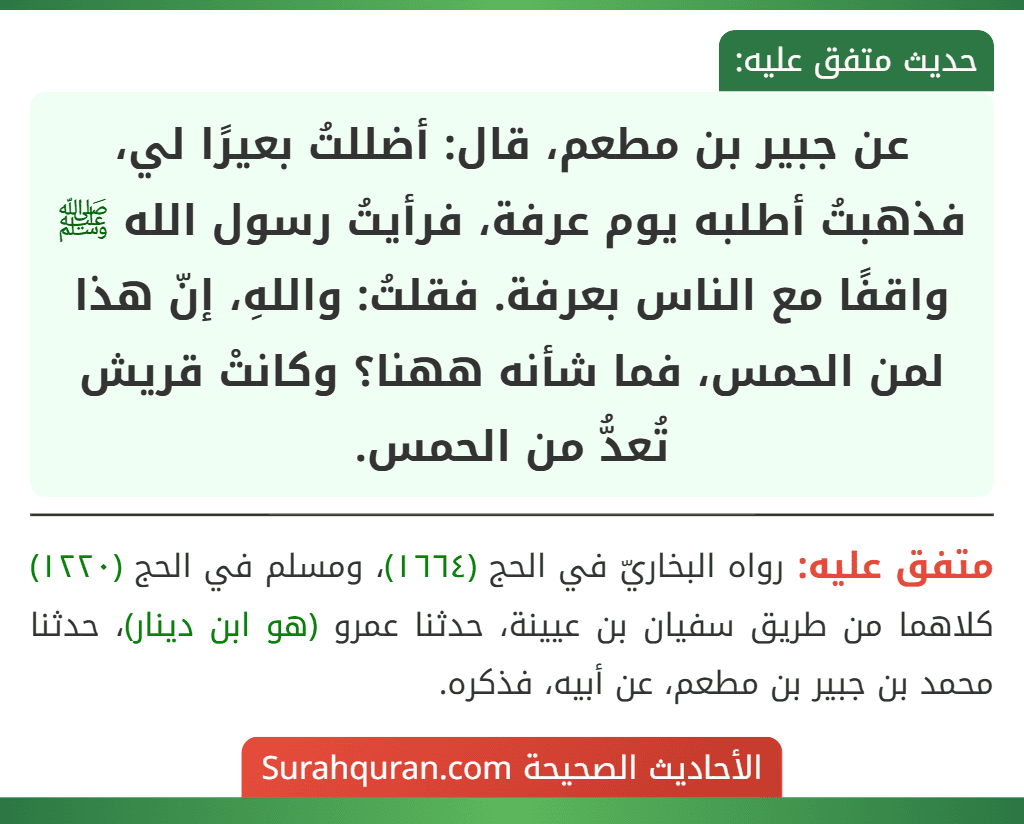 عن جبير بن مطعم، قال: أضللتُ بعيرًا لي، فذهبتُ أطلبه يوم عرفة، فرأيتُ رسول الله ﷺ واقفًا مع الناس بعرفة. فقلتُ: واللهِ، إنّ هذا لمن الحمس، فما شأنه ههنا؟ وكانتْ قريش تُعدُّ من الحمس.