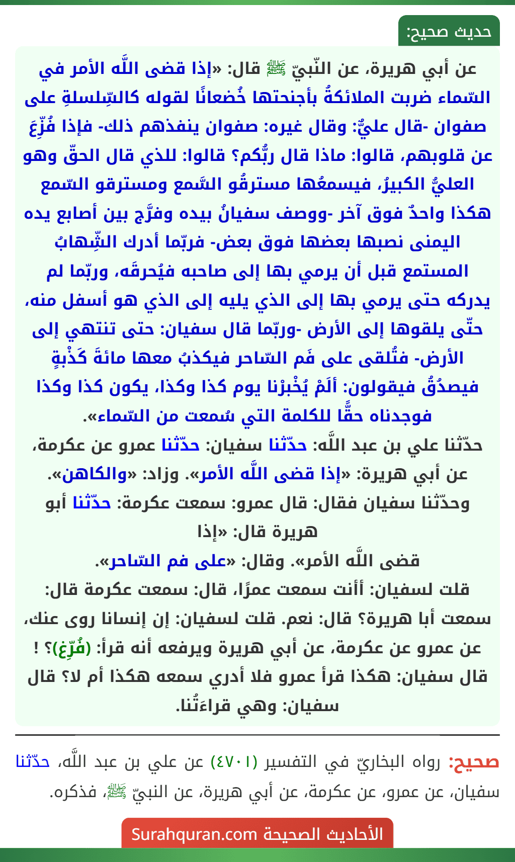 عن أبي هريرة، عن النّبيّ ﷺ قال: «إذا قضى اللَّه الأمر في السّماء ضربت الملائكةُ بأجنحتها خُضعانًا لقوله كالسِّلسلةِ على صفوان -قال عليٌّ: وقال غيره: صفوان ينفذهم ذلك- فإذا فُزِّعَ عن قلوبهم، قالوا: ماذا قال ربُّكم؟ قالوا: للذي قال الحقّ وهو العليُّ الكبيرُ، فيسمعُها مسترقُو السَّمع ومسترقو السّمع هكذا واحدٌ فوق آخر -ووصف سفيانُ بيده وفرَّج بين أصابع يده اليمنى نصبها بعضها فوق بعض- فربّما أدرك الشِّهابُ المستمع قبل أن يرمي بها إلى صاحبه فيُحرقَه، وربّما لم يدركه حتى يرمي بها إلى الذي يليه إلى الذي هو أسفل منه، حتّى يلقوها إلى الأرض -وربّما قال سفيان: حتى تنتهي إلى الأرض- فتُلقى على فَم السّاحر فيكذبُ معها مائةَ كَذْبةٍ فيصدُقُ فيقولون: ألَمْ يُخْبرْنا يوم كذا وكذا، يكون كذا وكذا فوجدناه حقًّا للكلمة التي سُمعت من السّماء».
حدّثنا علي بن عبد اللَّه: حدّثنا سفيان: حدّثنا عمرو عن عكرمة، عن أبي هريرة: «إذا قضى اللَّه الأمر». وزاد: «والكاهن».
وحدّثنا سفيان فقال: قال عمرو: سمعت عكرمة: حدّثنا أبو هريرة قال: «إذا
قضى اللَّه الأمر». وقال: «على فم السّاحر».
قلت لسفيان: أأنت سمعت عمرًا، قال: سمعت عكرمة قال: سمعت أبا هريرة؟ قال: نعم. قلت لسفيان: إن إنسانا روى عنك، عن عمرو عن عكرمة، عن أبي هريرة ويرفعه أنه قرأ: (فُرِّغ)؟ ! قال سفيان: هكذا قرأ عمرو فلا أدري سمعه هكذا أم لا؟ قال سفيان: وهي قراءَتُنا.